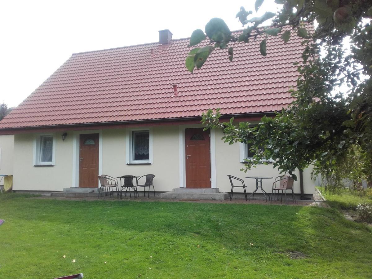Czysta Agroturystyka Pod Kogutkiem מראה חיצוני תמונה