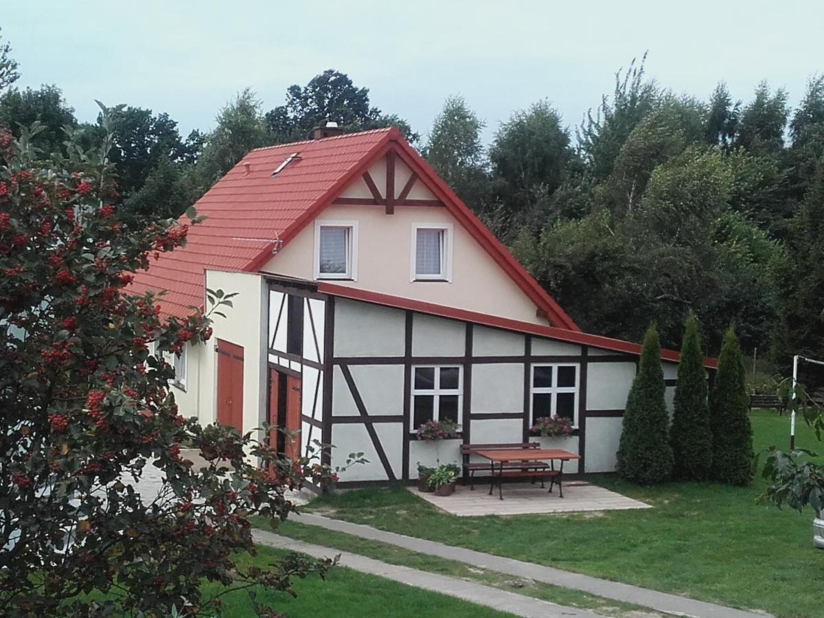 Czysta Agroturystyka Pod Kogutkiem מראה חיצוני תמונה