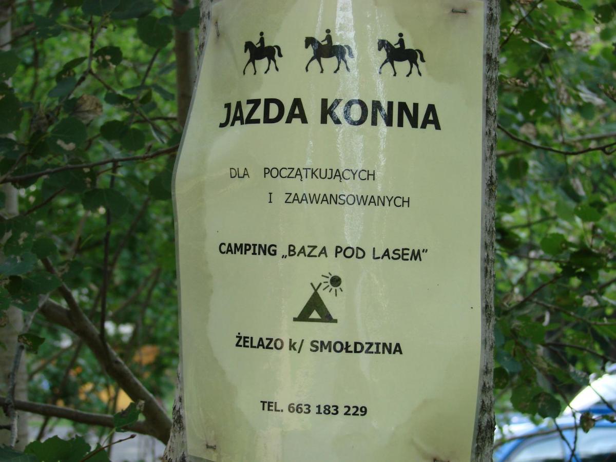 Czysta Agroturystyka Pod Kogutkiem מראה חיצוני תמונה