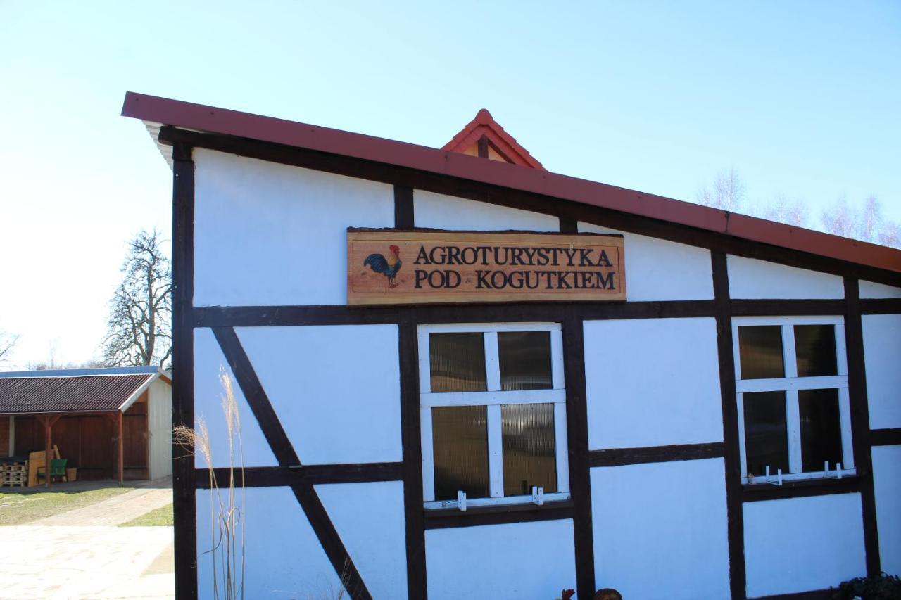 Czysta Agroturystyka Pod Kogutkiem מראה חיצוני תמונה